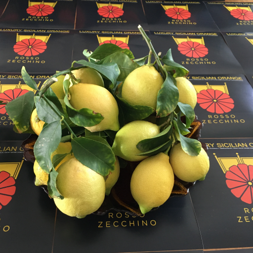 Limoni - Cassetta da 17 kg