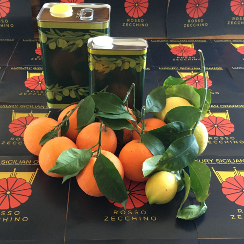 Degustazione special Arance, Limoni e Olio